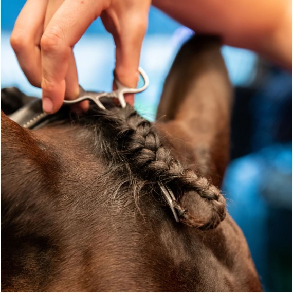 Flettegriper til pannelugg fra Smart Grooming