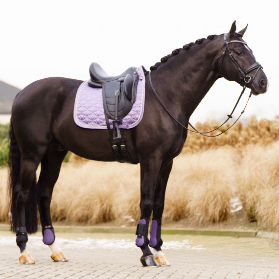 Dressur Schabrak Amethyst fra Imperial Riding