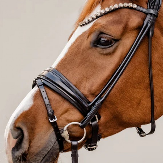 Rundsydd hodelag Premium fra Brisque Bridlewear