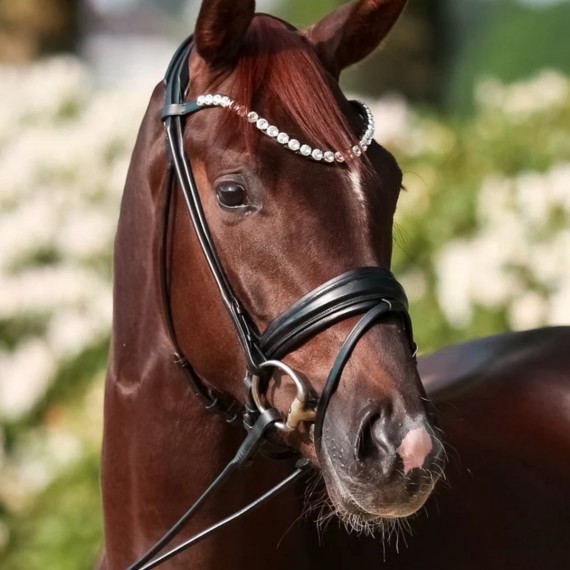 Rundsydd hodelag Premium fra Brisque Bridlewear