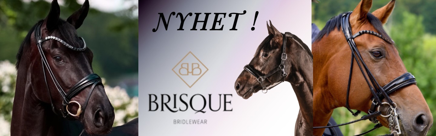 Bridle Brisque